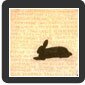 Black Rabbit