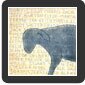 Blue Sheep