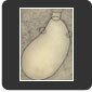 Jug